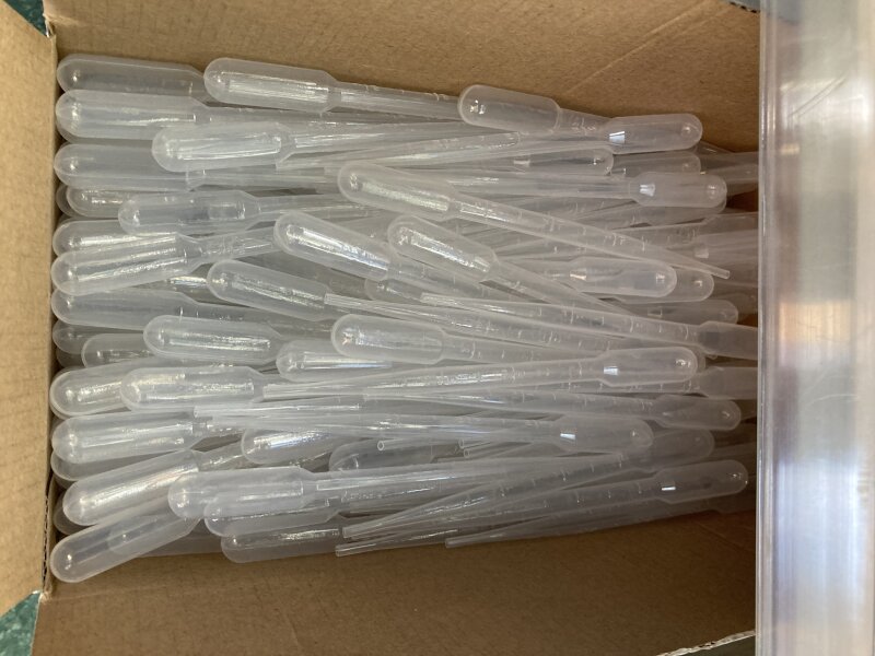 Pipette - Transfer 3ml - Each