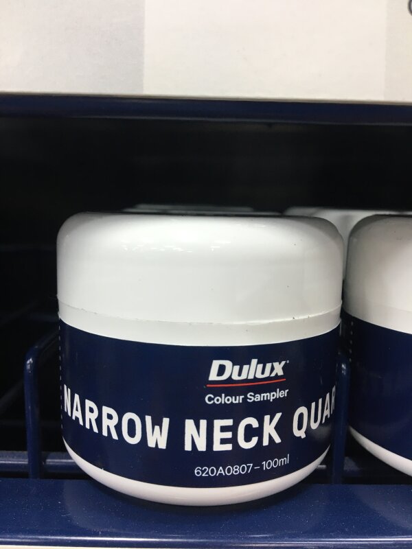 Dulux Sample Pot 100ml Narrow Neck Quart Wynn Fraser