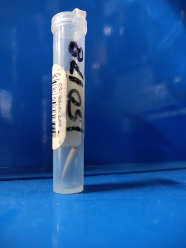 GR Graco Delta XT Tip .051-.070 234-778